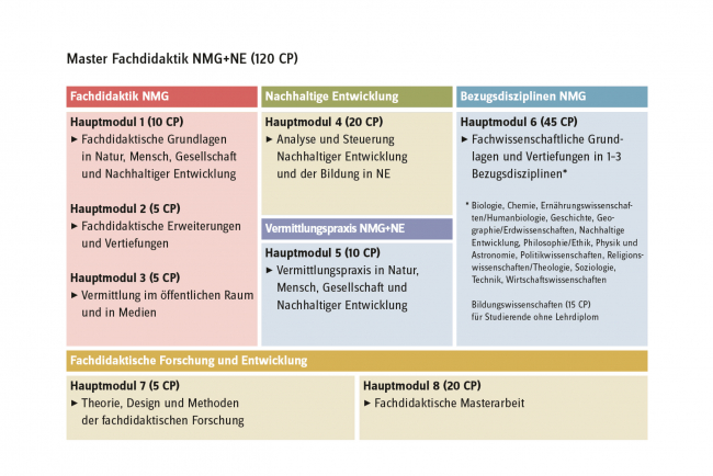 Master Fachdidaktik NMG