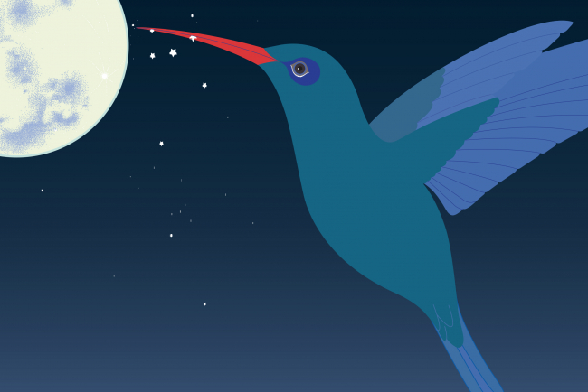 Ein Kolibri, der nach den Sternen greift und zum Mond fliegt
