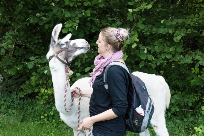 Lama und Frau