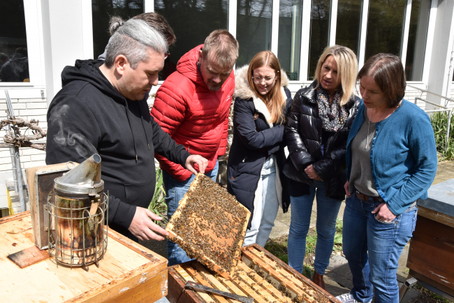 Dozent Stephan Wehrli mit einer Gruppe von Weiterbildungsteilnehmenden und den Bienen. 