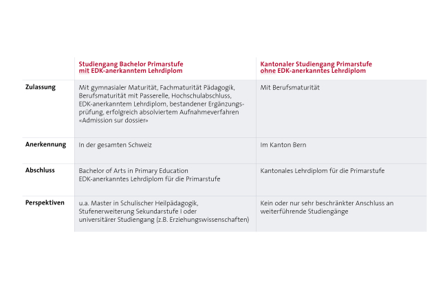 Übersicht Studiengänge IPS