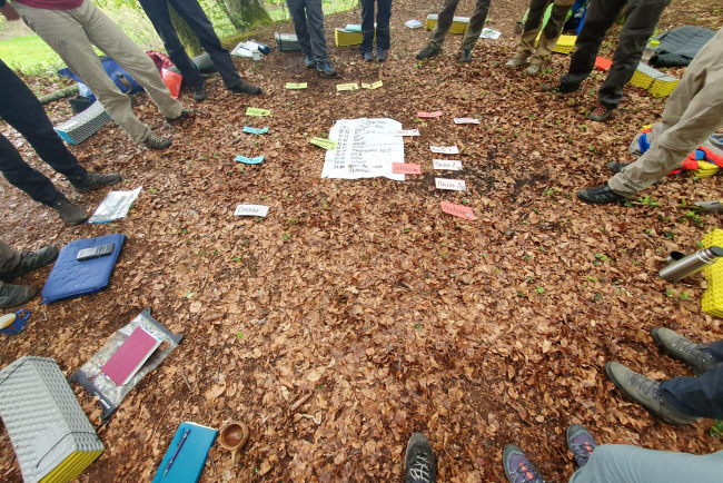 Kursteilnehmende stehen im Kreis im Wald