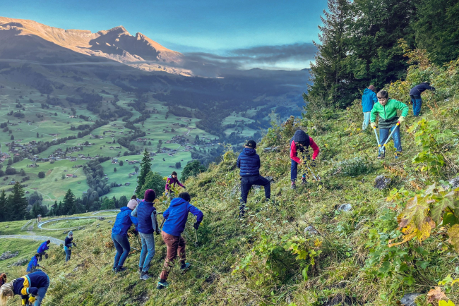 Schülerinnen und Schüler draussen in der Natur bei der Landschaftspflege