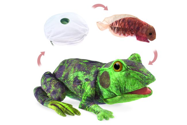 AM5004 Handpuppe Frosch