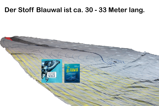 AM1169 Blauwal