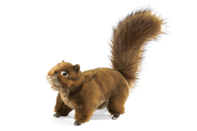 AM5024 Handpuppe Einchhörnchen