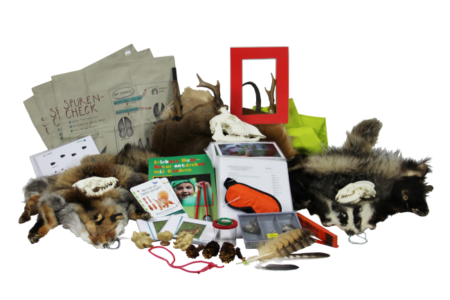 AM1167 Waldbox Rech, Fusch, Dachs & Co.