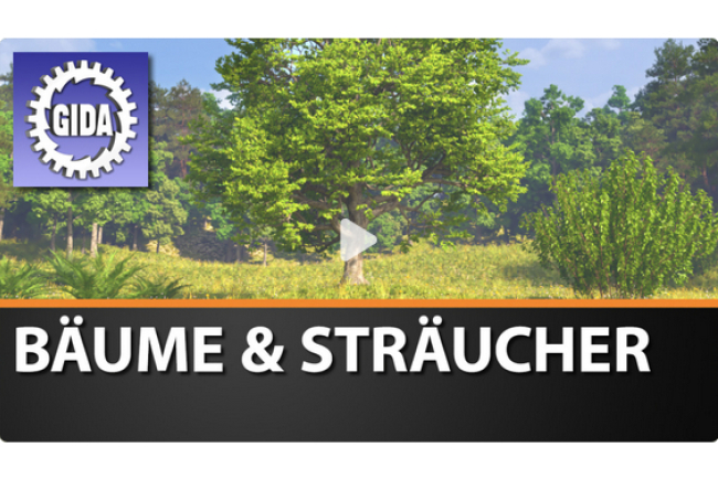 online-film_baeume_und_straeucher.jpg