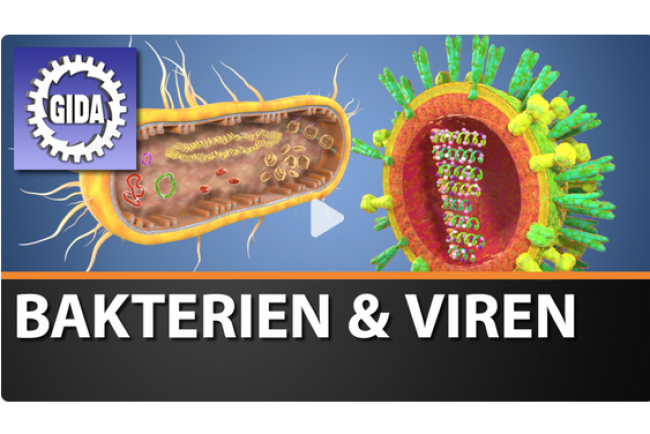 online-film_bakterien_und_viren.jpg
