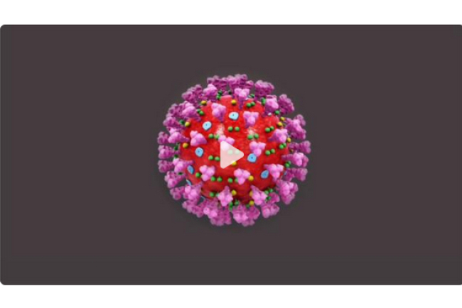 online-film_epidemien_pandemien_endemien.jpg