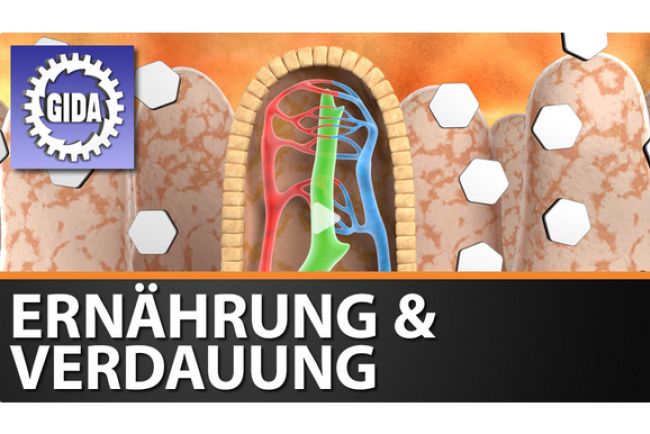 online-film_ernaehrung_und_verdauung.jpg
