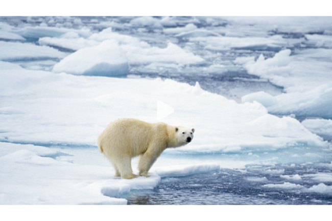 online-film_klimawandel_in_der_arktis.jpg 