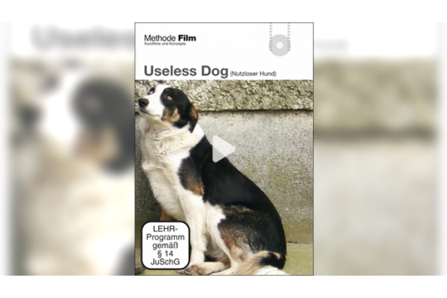 online-film_useless_dog.jpg