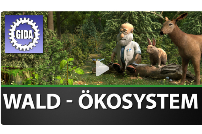 online-film_wald_oekosystem.jpg 