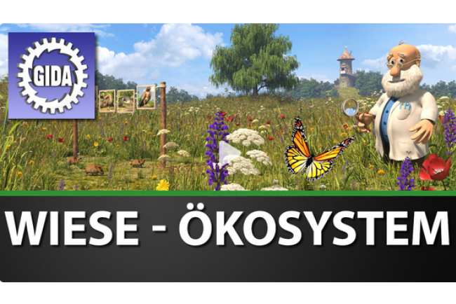online-film_wiese_oekosystem.jpg