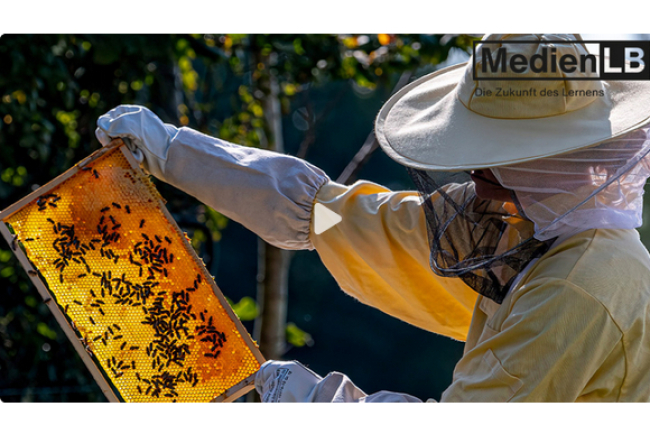 online-film_ein_himmel_voller_bienen.jpg