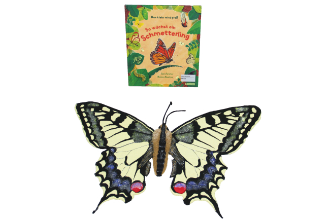 AM1195 Schmetterling Schwalbenschwanz