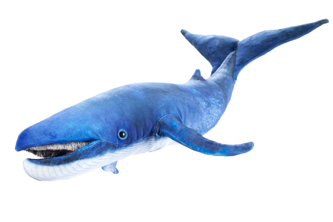 AM5104 Handpuppe Blauwal