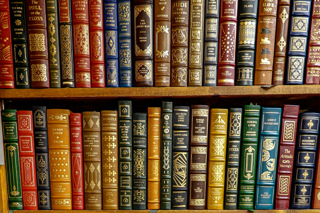 Bücher auf braunem Holzregal