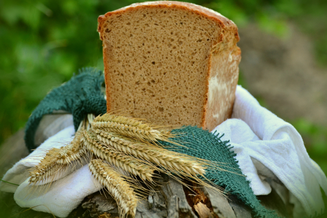 Vom Korn zum Brot