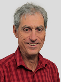 Marco Adamina