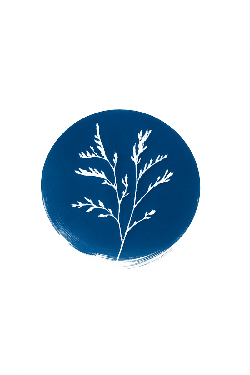 4-walther.png