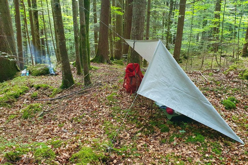 20260814_outdooreducation_is2_20260612_183009_bearb_web.jpg