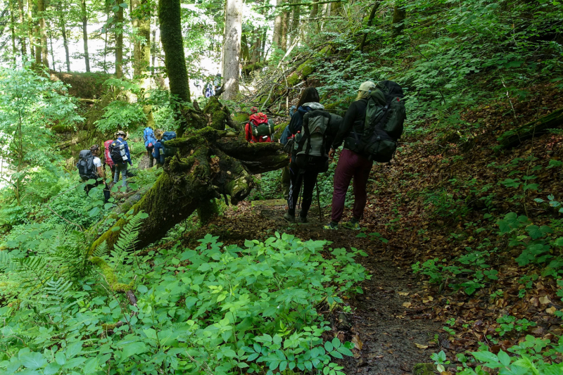 20260814_outdooreducation_is2_dsc02171_bearb_web.jpg