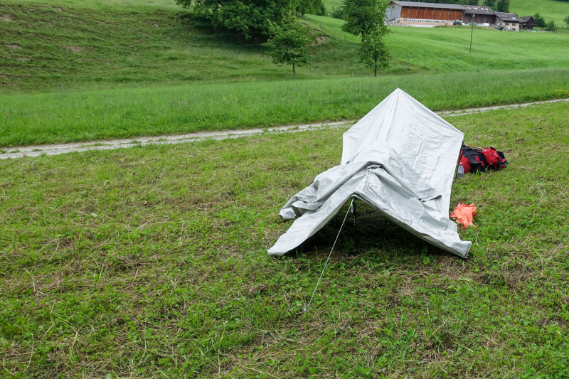 20260814_outdooreducation_is2_dsc02247_bearb_web.jpg