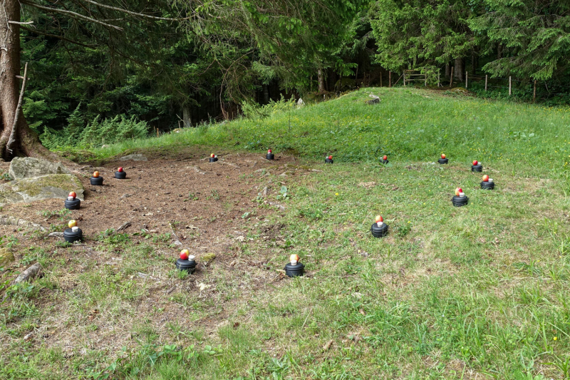 20260814_outdooreducation_is2_dsc02253_bearb_web.jpg